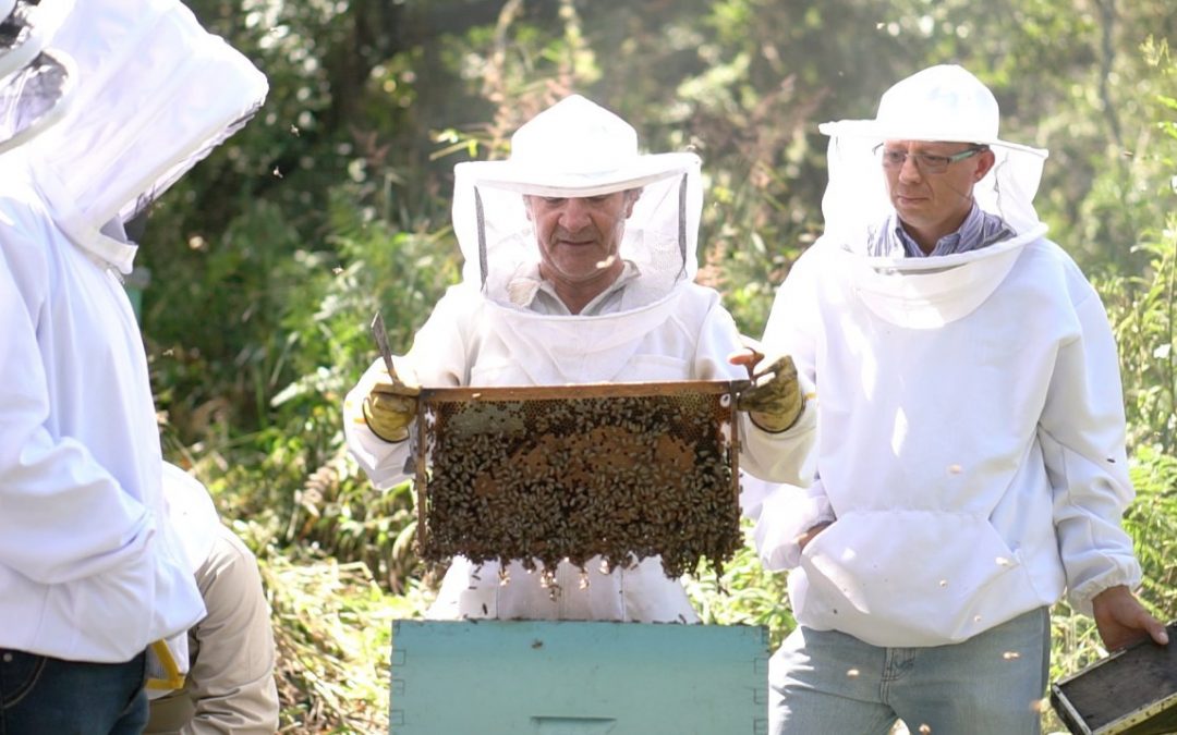 UNL organizó el evento ‘Un día como apicultor’