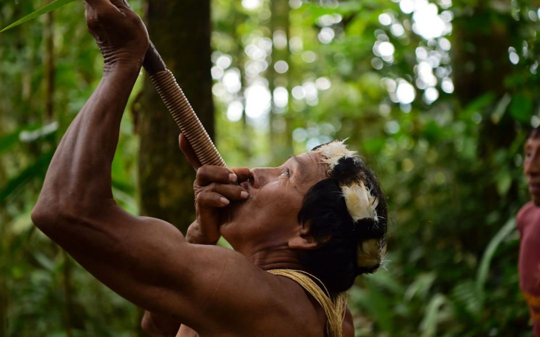 Investigación de ecuatoriana sobre waoranis en tiempos de guerra, financiada por National Geographic