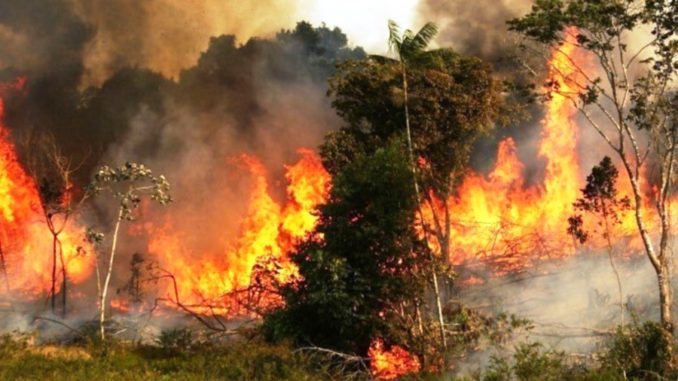 Bolsonaro insinúa que las ONG pueden estar detrás de incendios en Amazonía