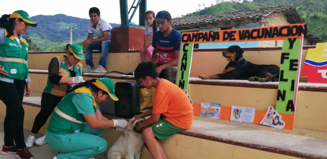 En Chinchipe y Palanda continúa campaña de vacunación canina y felina